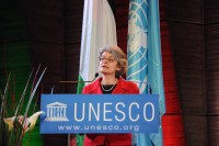 498641-irinabokova