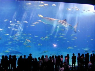 underwater burj-khalifa.eu