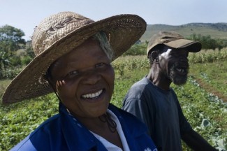 Swaziland  farmers  - source FAO