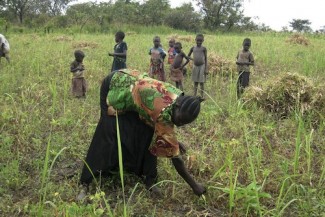 Farming South Sudan - FAO