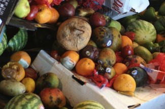 Food waste -FAO